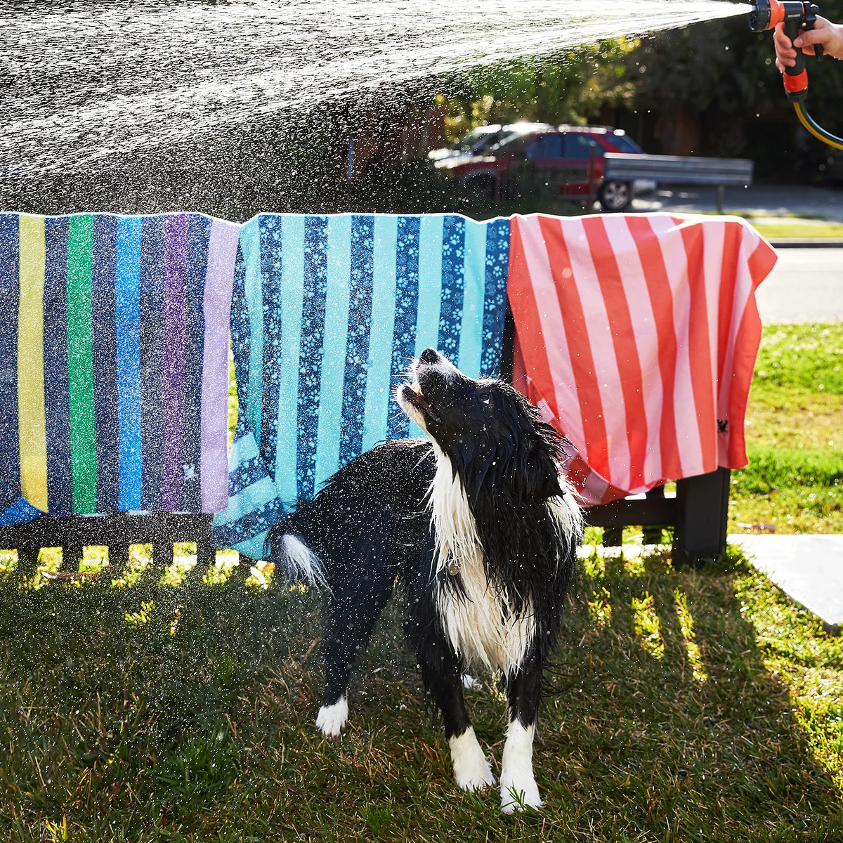 Geschenkkarte für den besten Freund (Hunde & Haustiere) – Bild 7